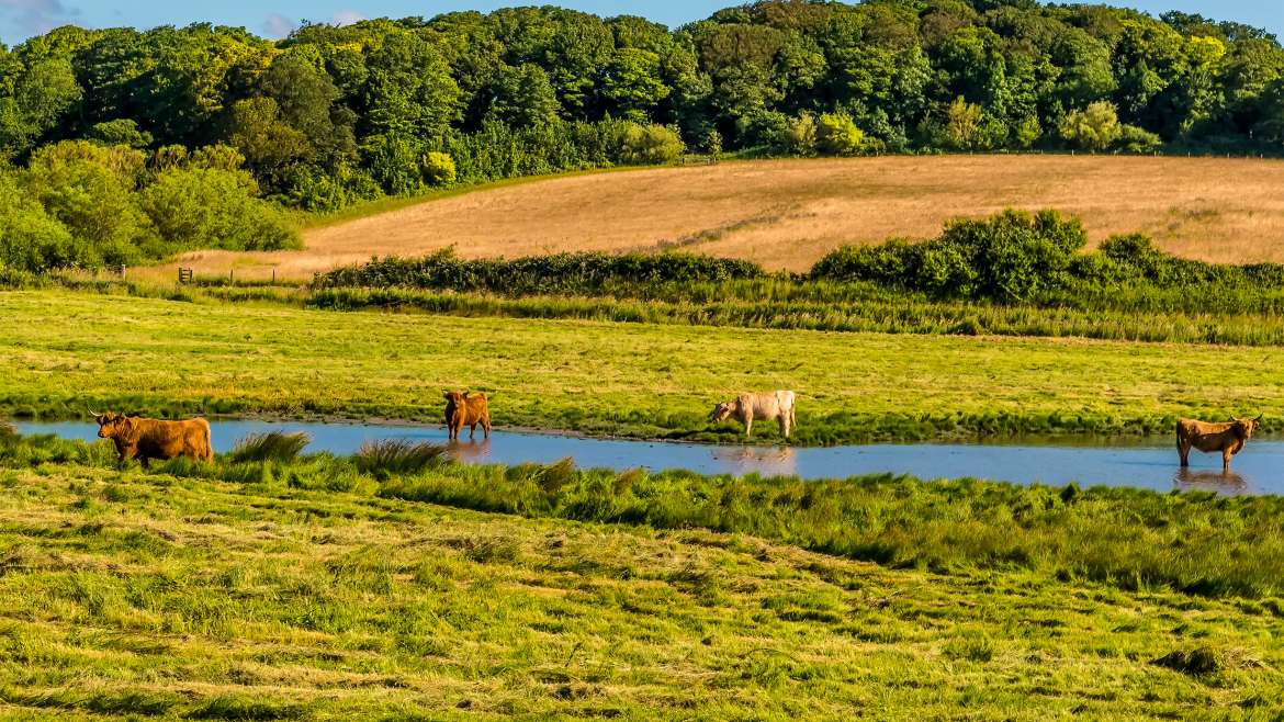 The River Glaven