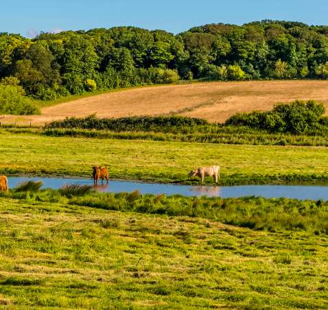 The River Glaven