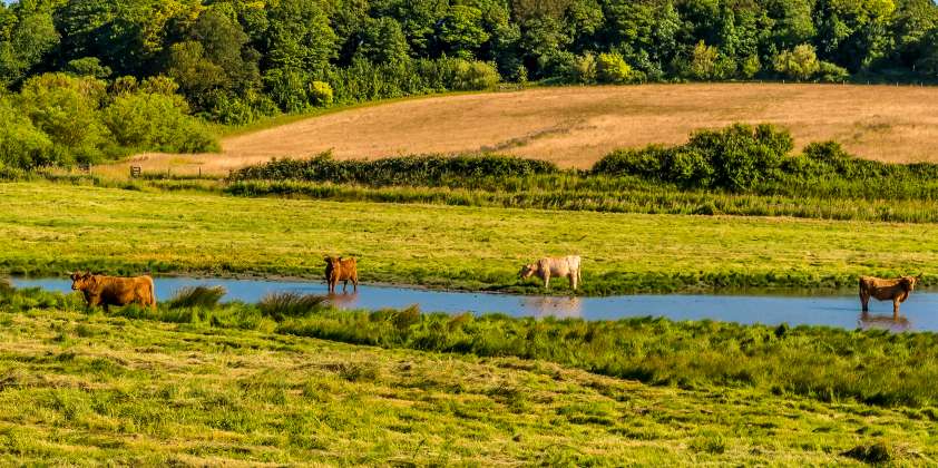 The River Glaven